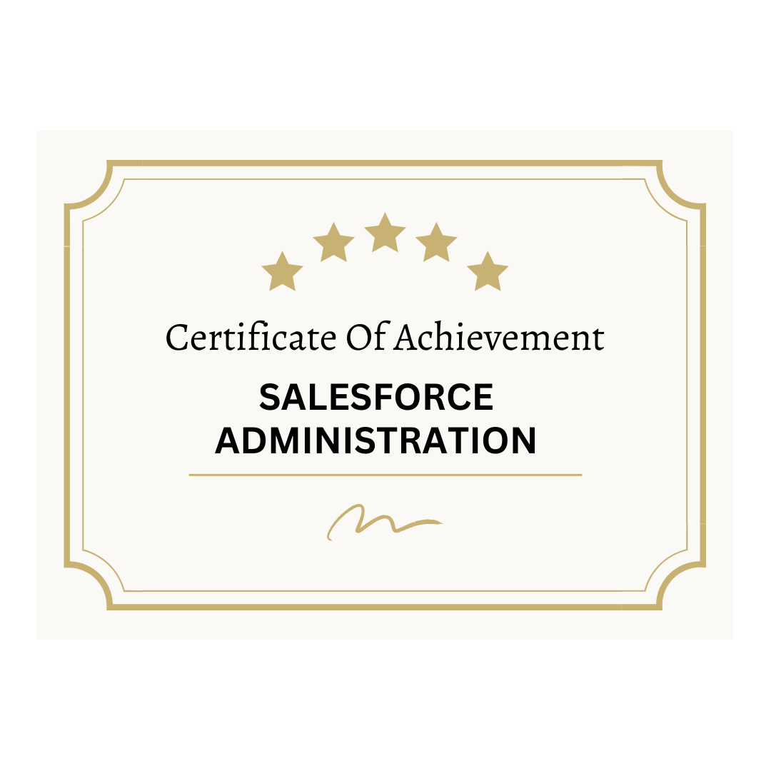 SALESSFORCE ADMINISTRATION