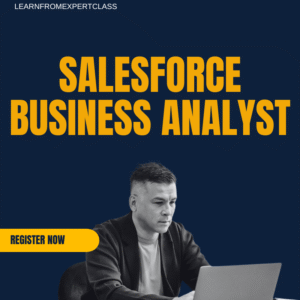 SALESFORCE BUSINESS ANALYST