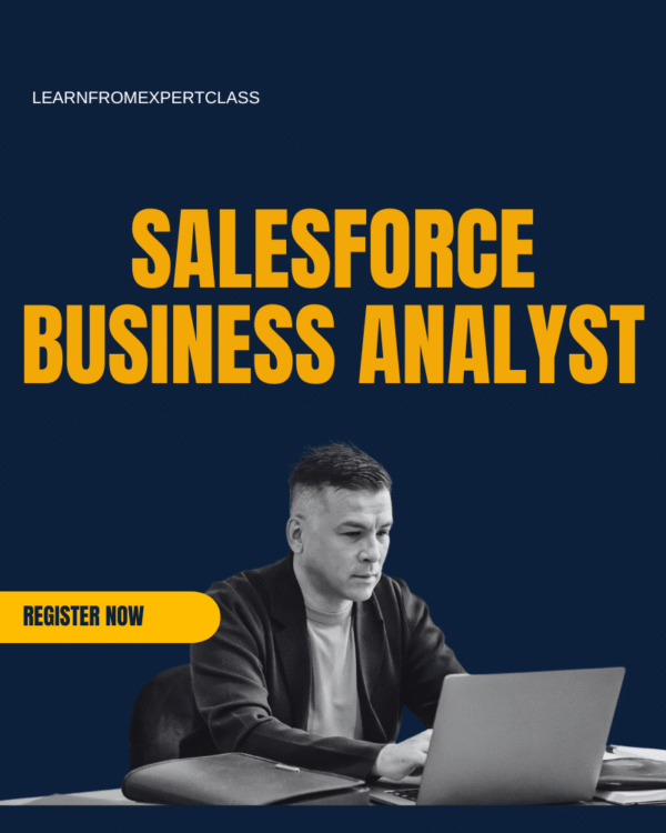 SALESFORCE BUSINESS ANALYST