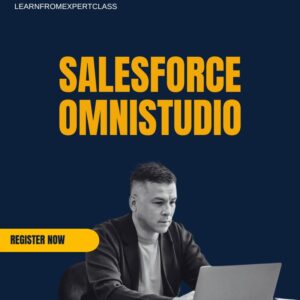 SALESFORCE OMNISTUDIO