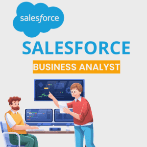 SALESFORCE BUSINESS ANALYST