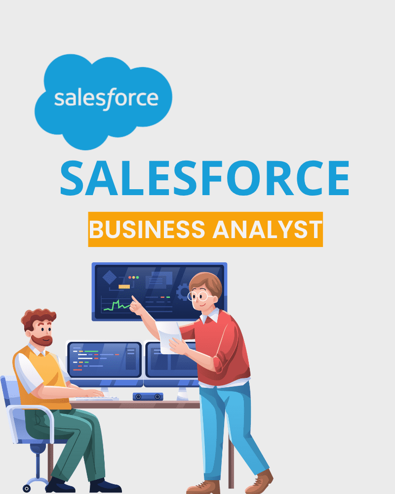 SALESFORCE BUSINESS ANALYST