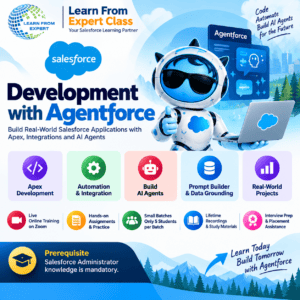 Salesforce Development with Agentforce course by Learn From Expert Class